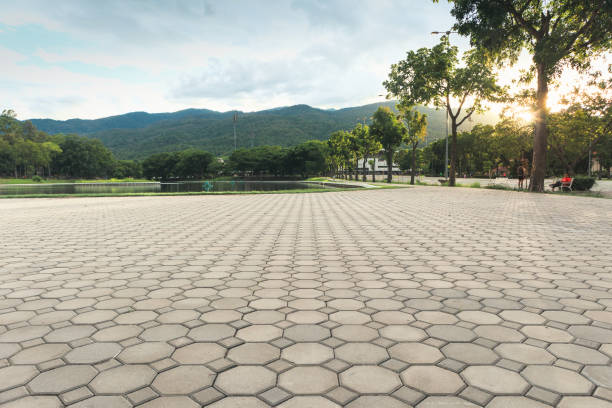 Best Driveway Repair Near Me  in Baxter, MN