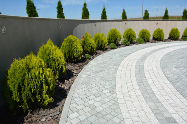 Trusted Baxter, MN Driveway Pavers Experts