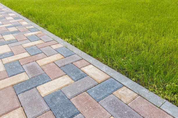 Best Local Driveway Pavers  in Baxter, MN
